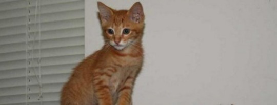 How to Reduce & Combat Anxiety by Eric Maisel How to Reduce & Combat Anxiety by Eric Maisel